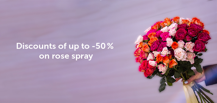 Discounts of up to -50 % on rose spray